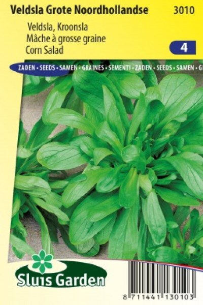 3010 polnicek Grote Noordhollandse